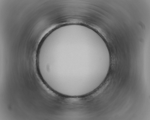 X0000113291134200910131021