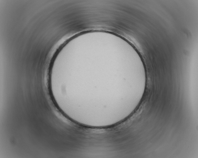 X0000113291136200910131021