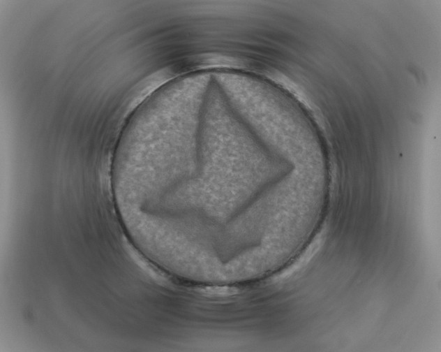 X0000113291137200910131021
