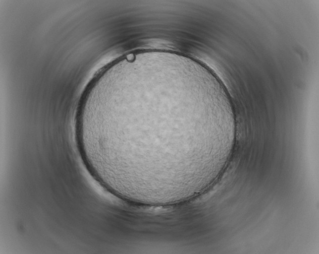 X0000113291139200910131021