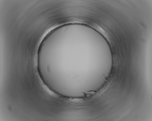 X0000113291140200910131021