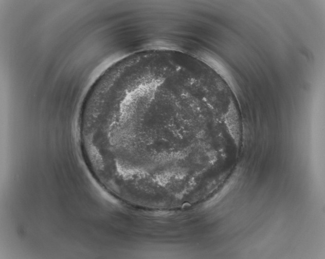 X0000113291141200910131021