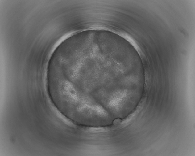X0000113291142200910131021