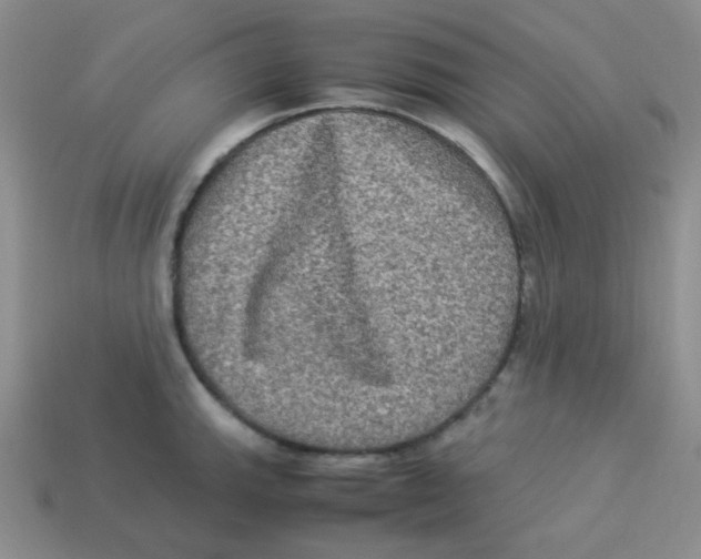 X0000113291143200910131021