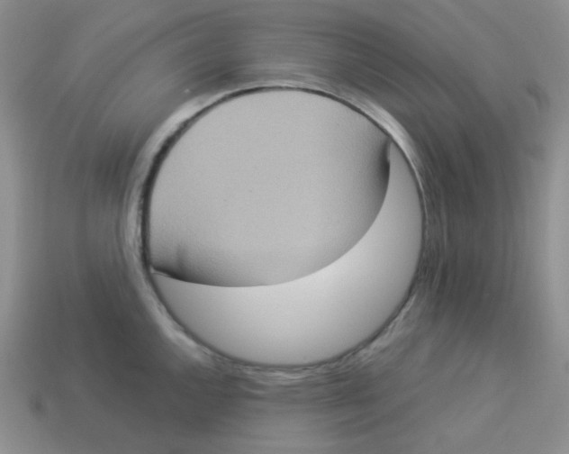 X0000113291144200910131021