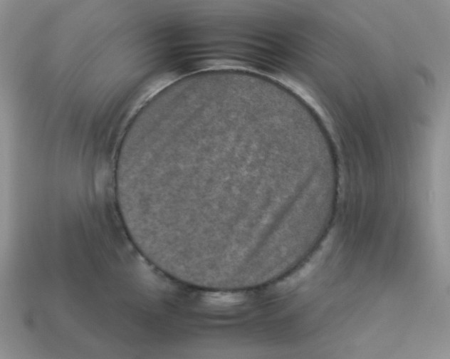 X0000113291145200910131021