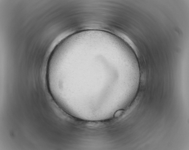 X0000113291146200910131021