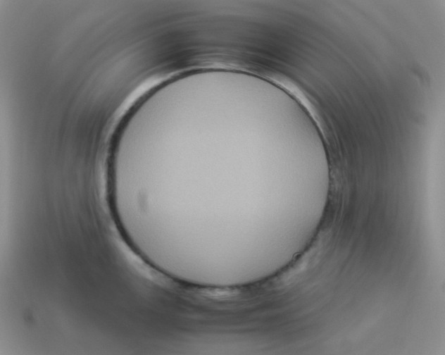 X0000113291147200910131021