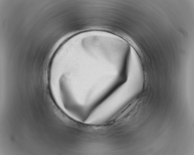 X0000113291148200910131021