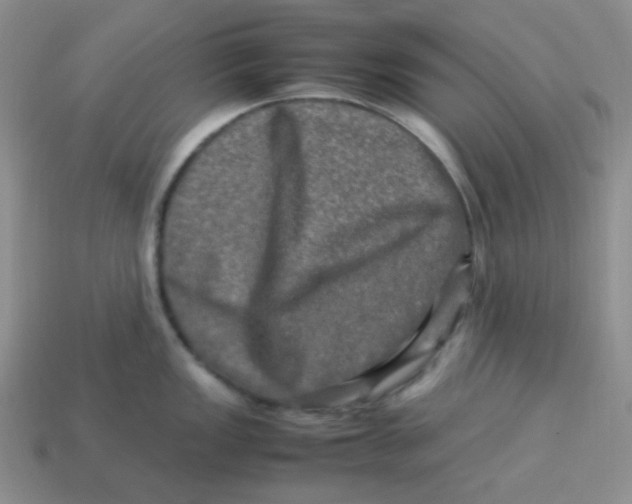 X0000113291149200910131021
