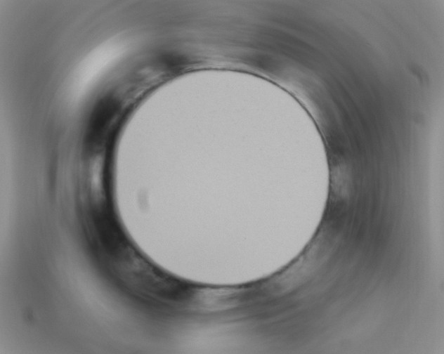X0000113291150200910131021