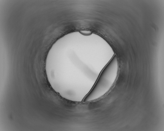 X0000113291153200910131020