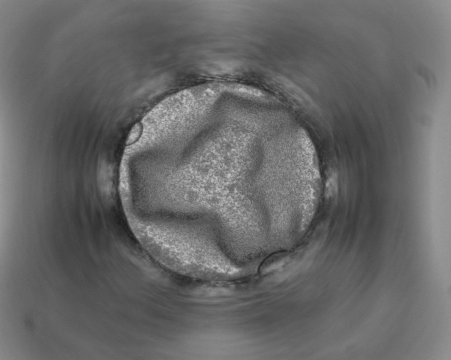 X0000113291156200910131020