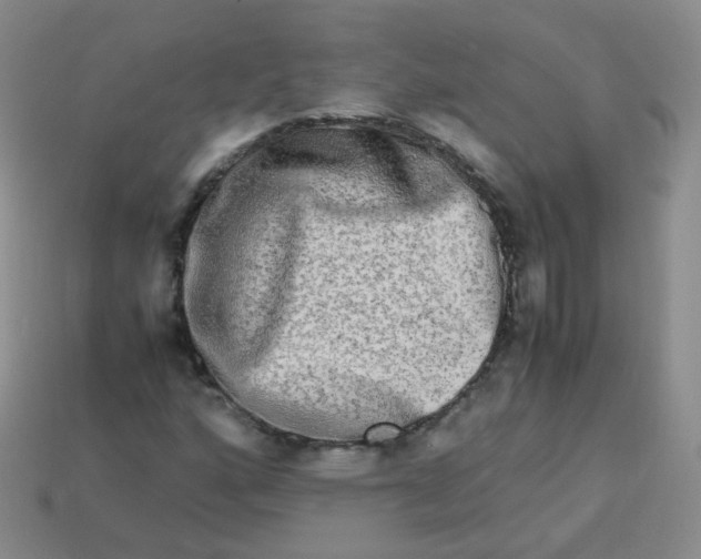 X0000113291160200910131020
