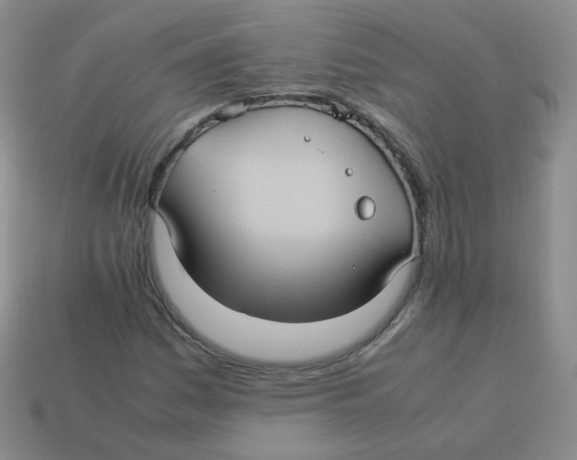 X0000113291161200910131020