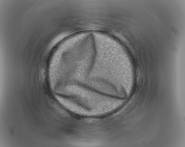 X0000113291163200910131020