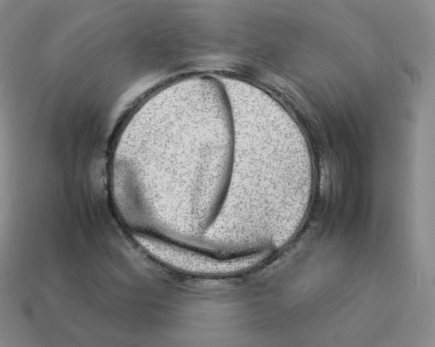 X0000113291164200910131020