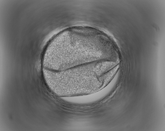 X0000113291167200910131020