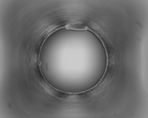 X0000113291169200910131020