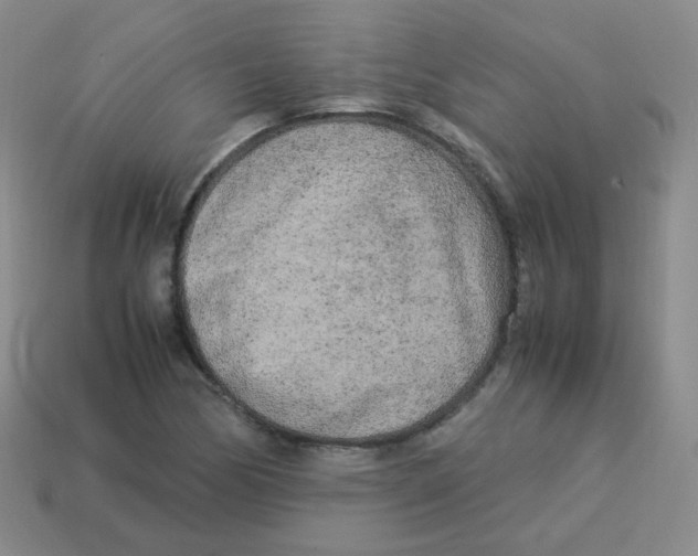 X0000113291170200910131020