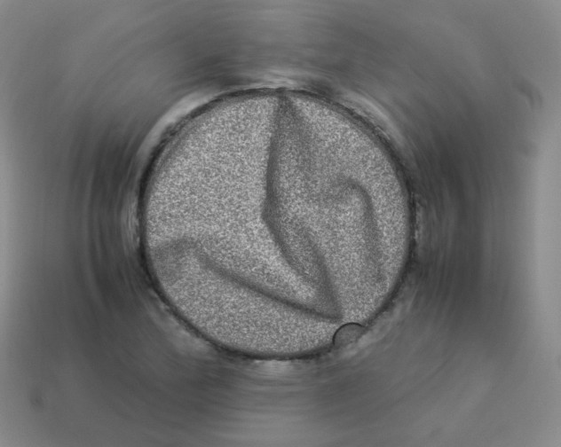 X0000113291172200910131020