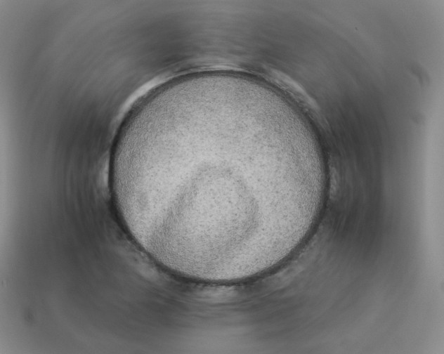 X0000113291174200910131020
