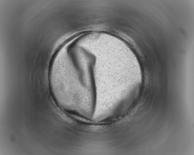 X0000113291176200910131020