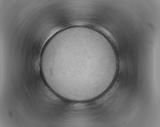X0000113291178200910131020