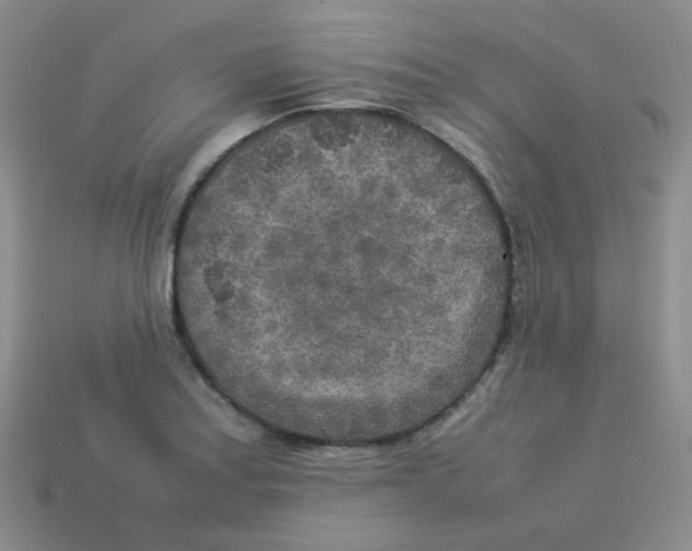 X0000113291179200910131020