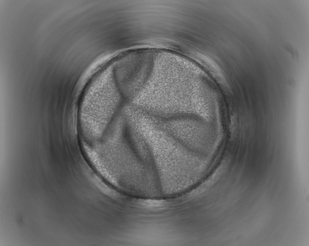 X0000113291180200910131020