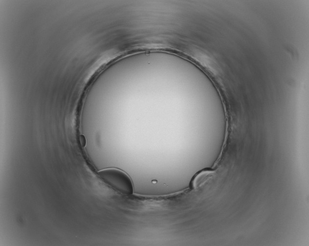 X0000113291181200910131020