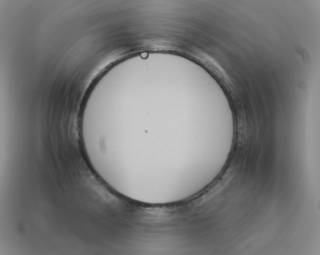 X0000113291182200910131020