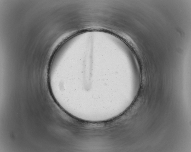 X0000113291183200910131020