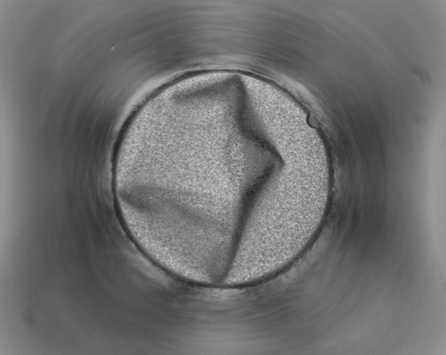 X0000113291184200910131020