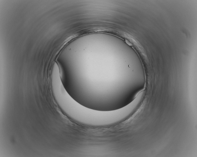 X0000113291185200910131020