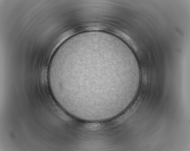 X0000113291186200910131020