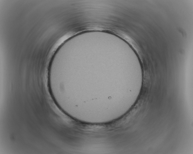 X0000113291187200910131020