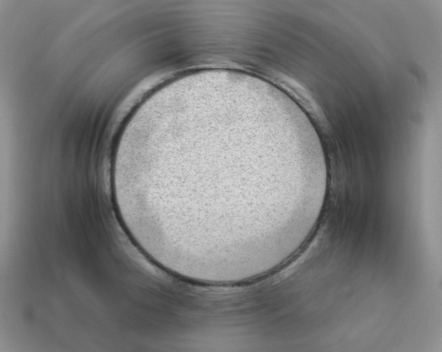 X0000113291188200910131020