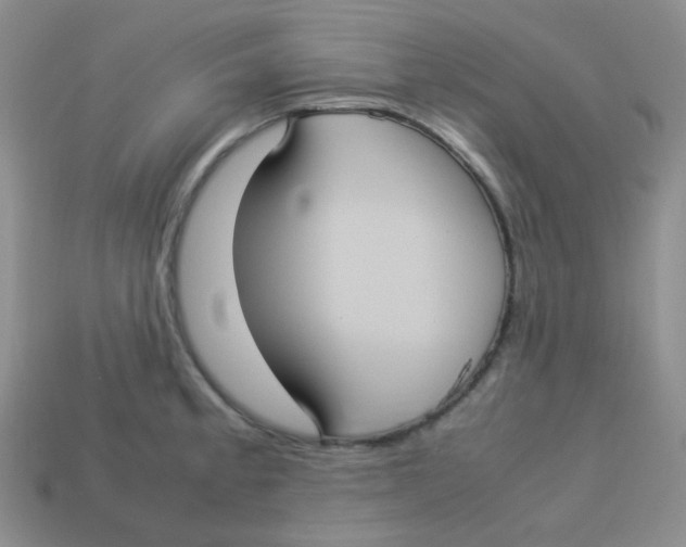 X0000113291189200910131020