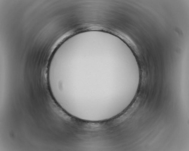 X0000113291190200910131020
