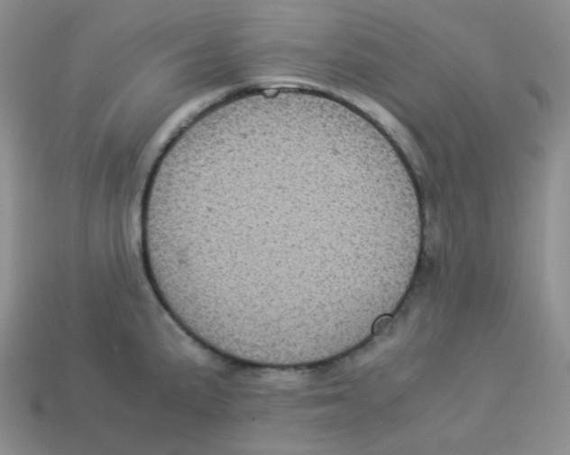 X0000113291191200910131020