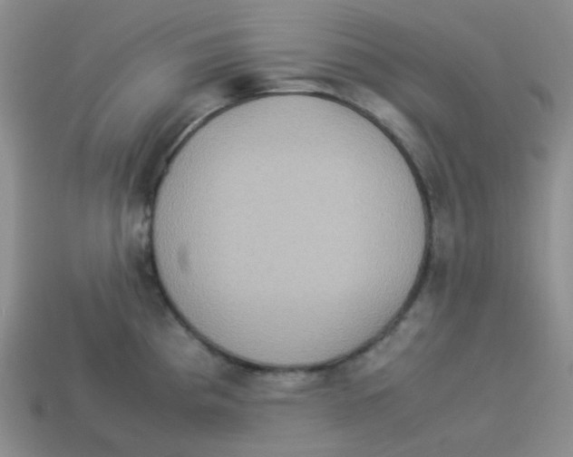 X0000113291193200910131020