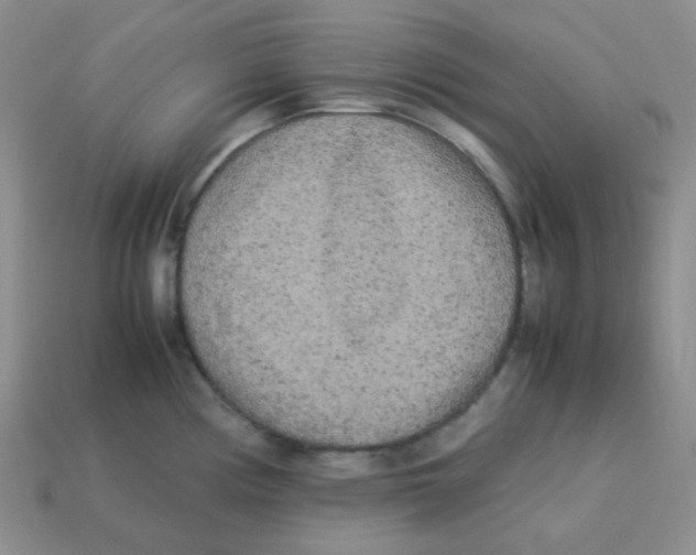 X0000113291194200910131020
