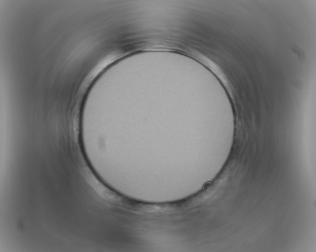 X0000113291195200910131020