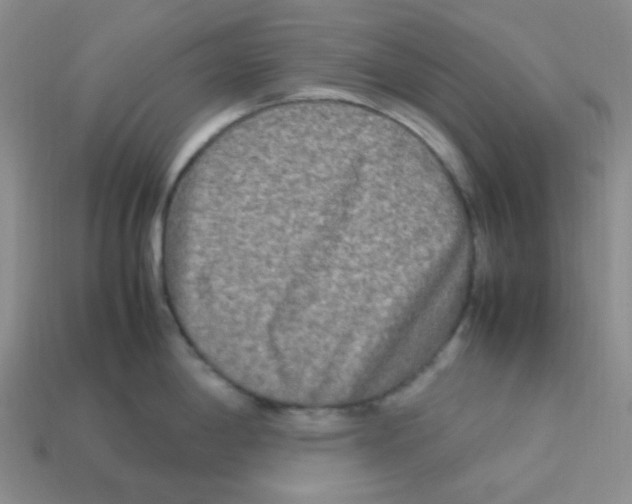 X0000113291198200910131020