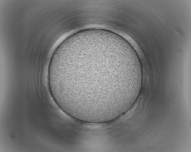 X0000113291199200910131020