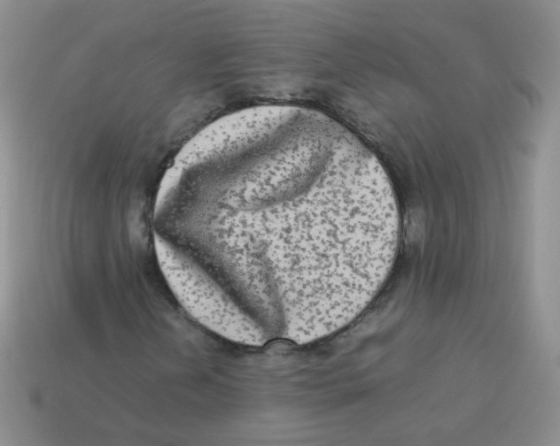 X0000113291202200910131019