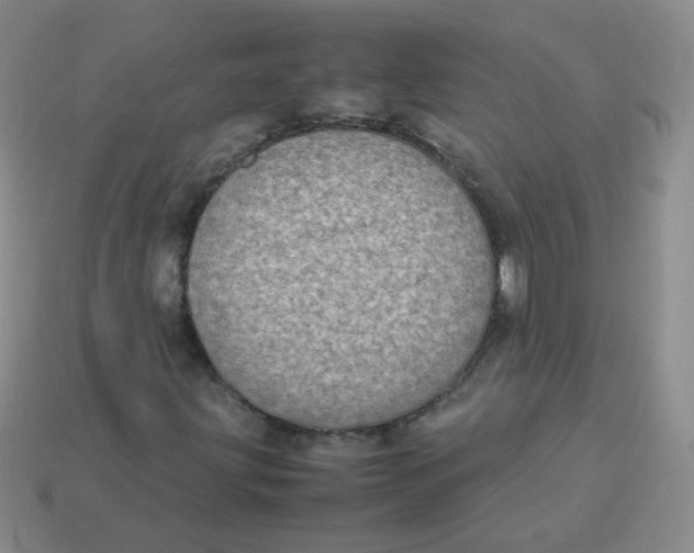 X0000113291203200910131019