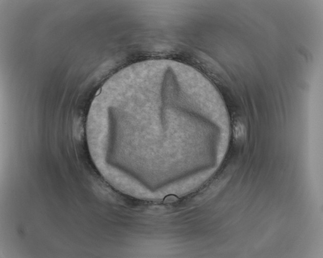 X0000113291204200910131019