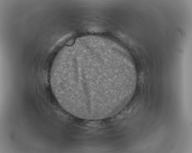 X0000113291205200910131019